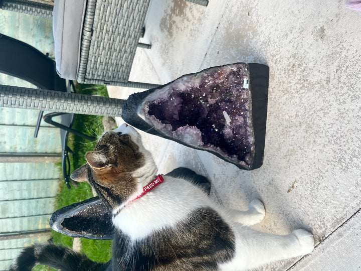 Amethyst Statement Piece 11KG