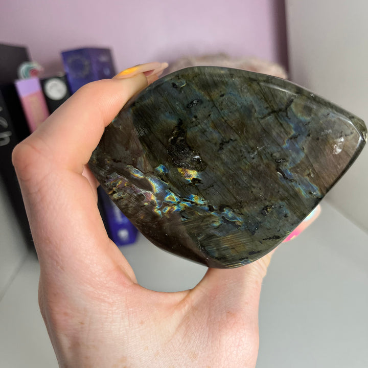 A Grade Labradorite Polished Freeform - Transformation