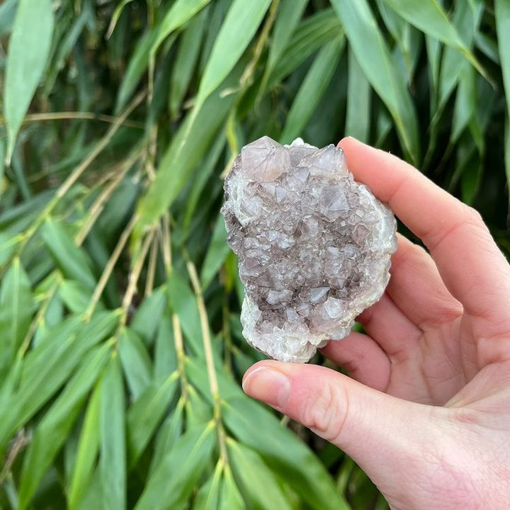 Spirit Quartz Cluster Style 31 (210 Grams)