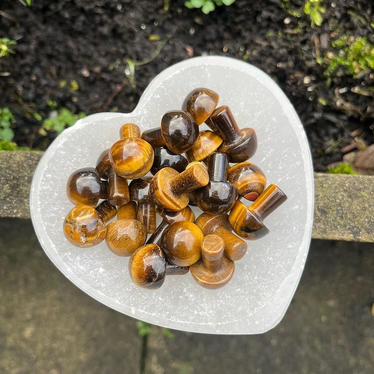 Mini Tiger Eye Crystal Mushroom 2cm