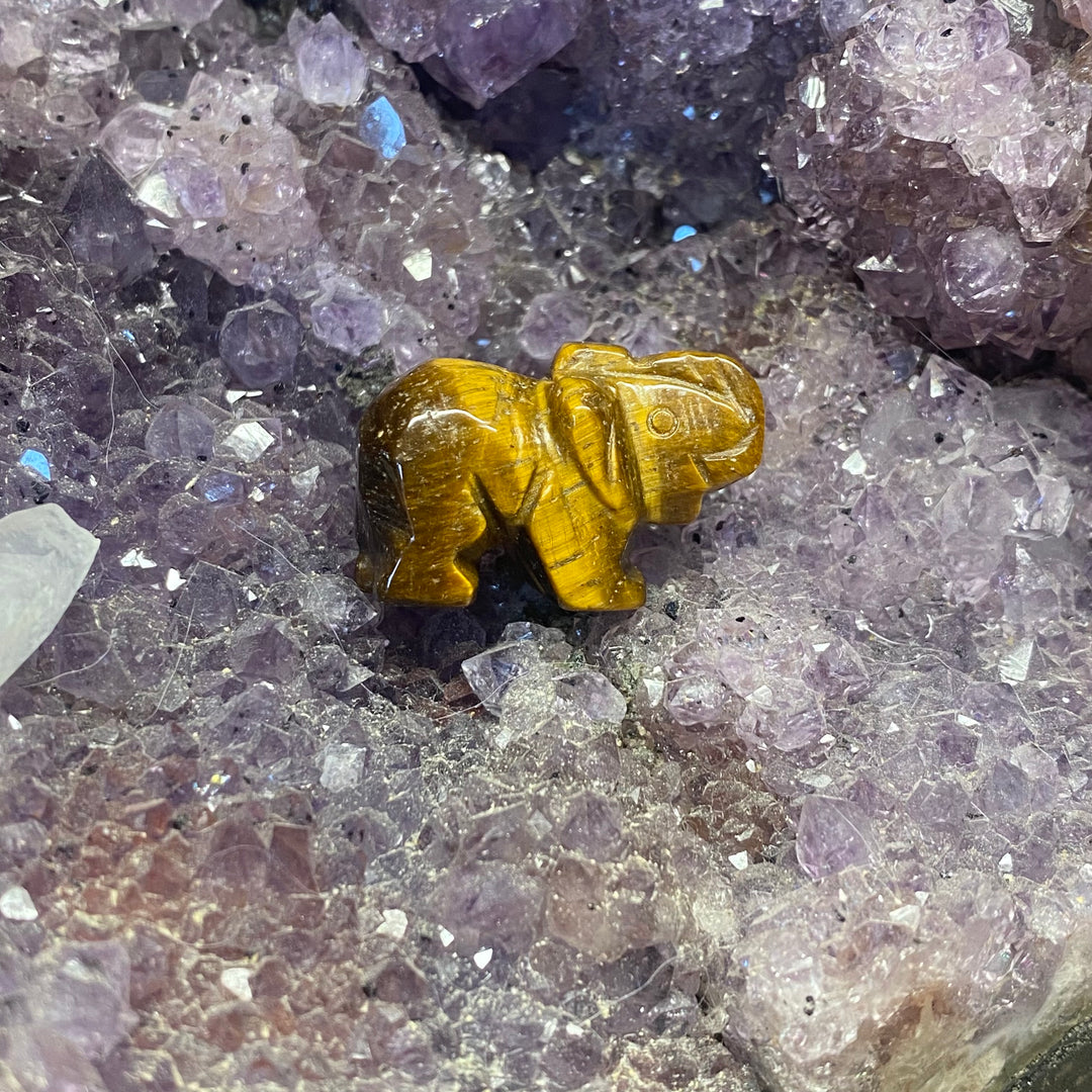 Tiger Eye Elephant Carving — Warm Strength &amp; Gentle Grounded Energy