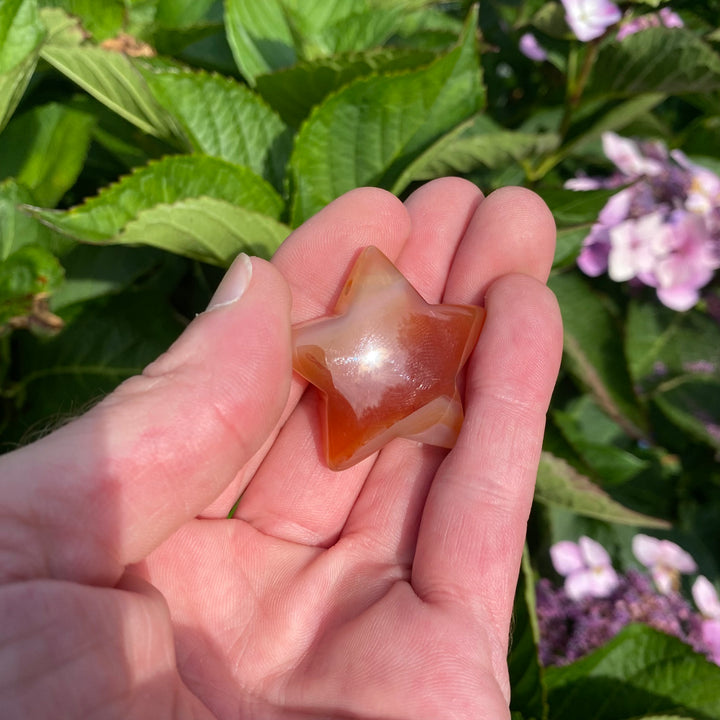 Carnelian Drilled Star Crystal Carving – Courage &amp; Motivation