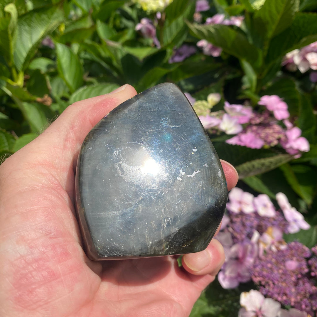 A Grade Labradorite Polished Freeform 5 - Transformation