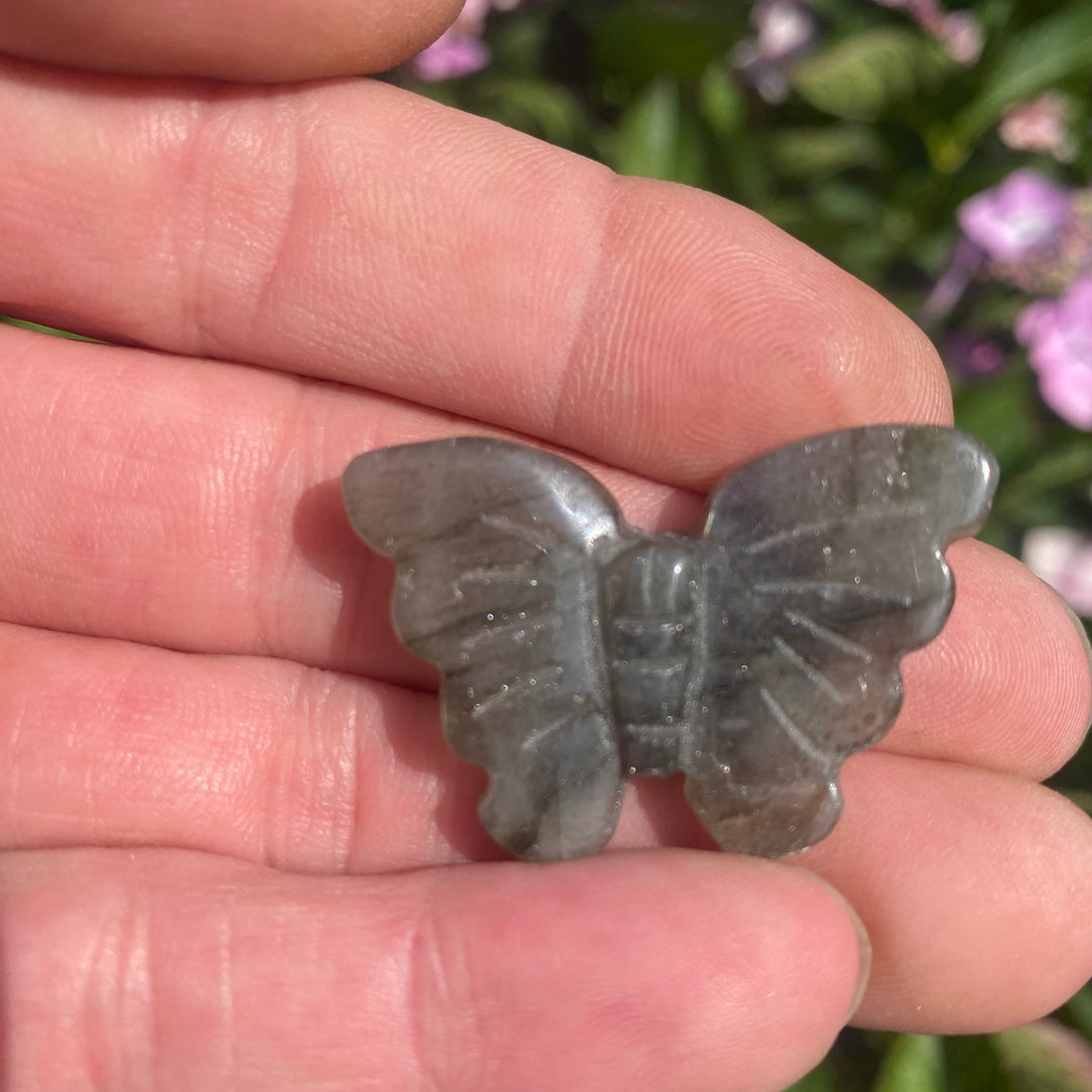 Labradorite Butterfly Carving — Soft Flash &amp; Gentle Transformation