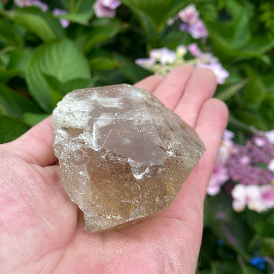 Raw Clear Quartz Crystal – Clarity &amp; Amplifying Energy