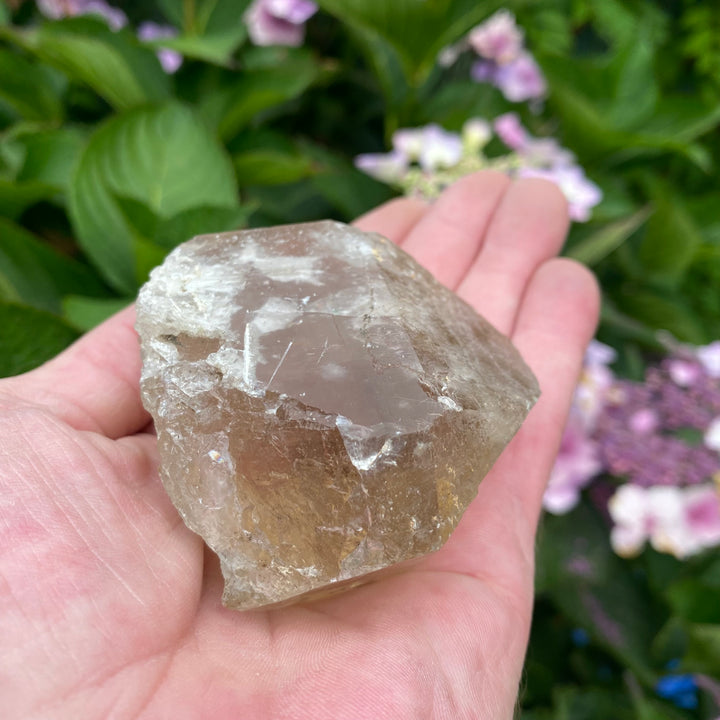 Raw Clear Quartz Crystal – Clarity &amp; Amplifying Energy