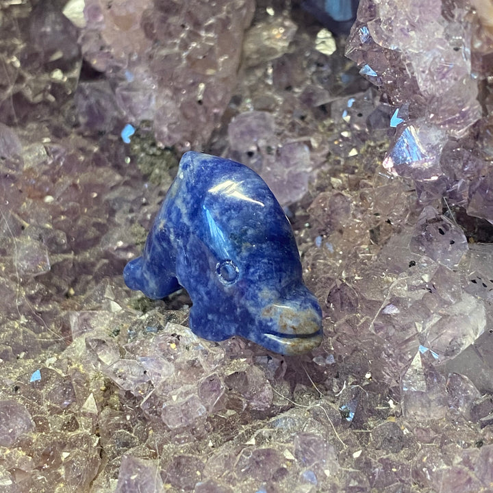 Sodalite Dolphin Carving — Calm Clarity &amp; Gentle Ocean Energy