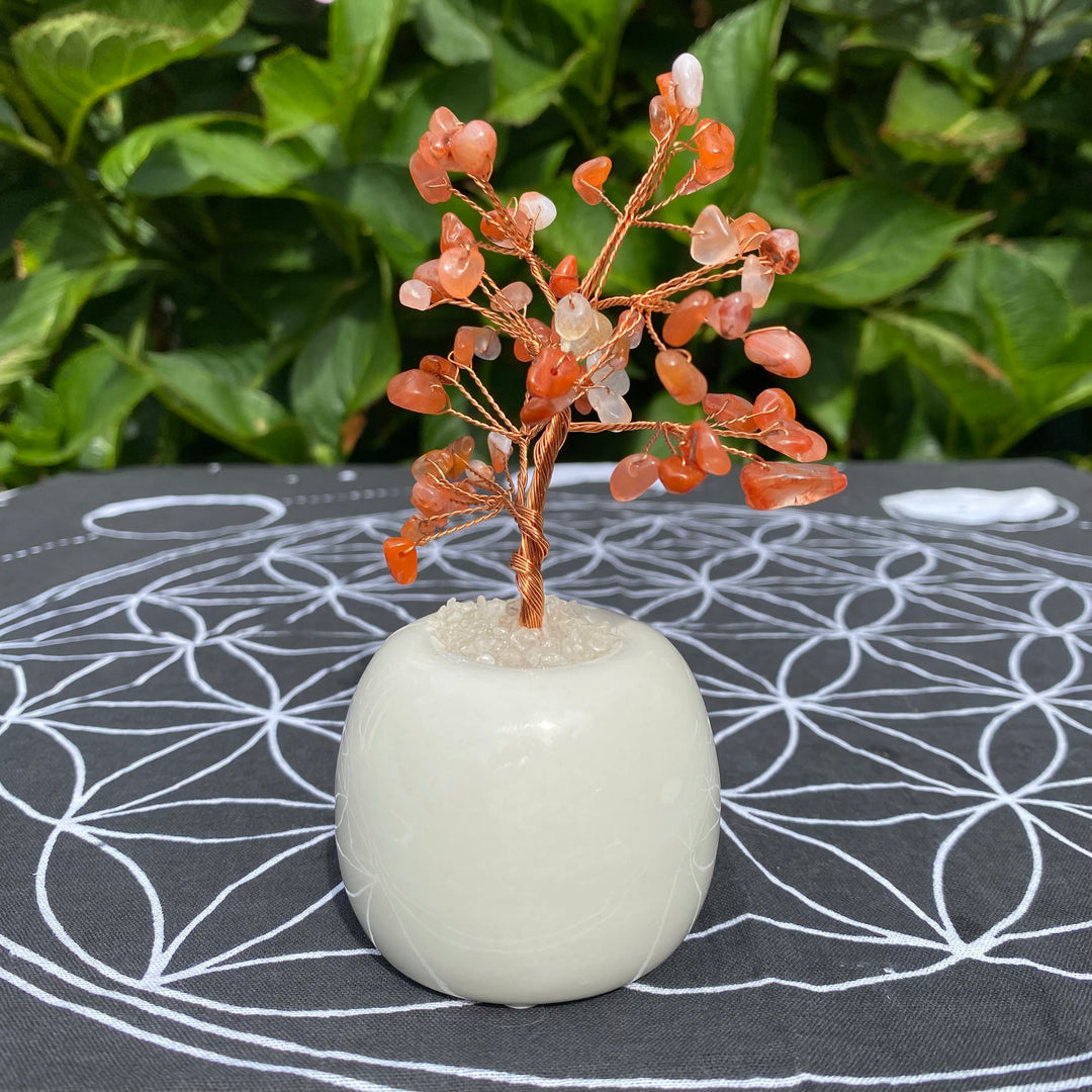 Carnelian Crystal Tree – Confidence &amp; Motivation