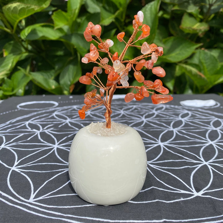 Carnelian Crystal Tree – Confidence &amp; Motivation
