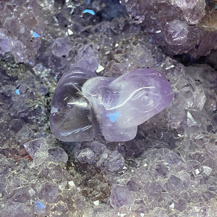 Amethyst Frog Carving — Dreamy Calm &amp; Gentle Spiritual Energy