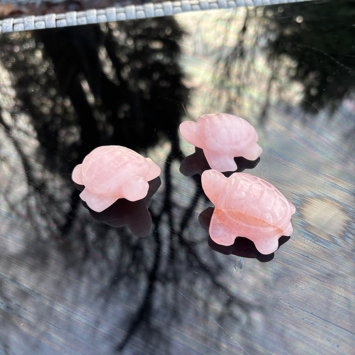 Rose Quartz Turtle Crystal Carvings on a reflective surface.