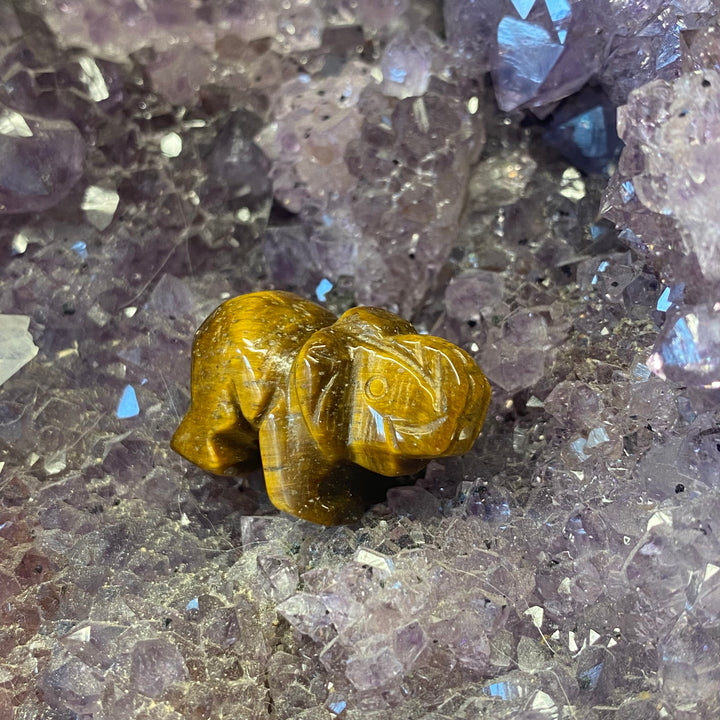 Tiger Eye Elephant Carving — Warm Strength &amp; Gentle Grounded Energy