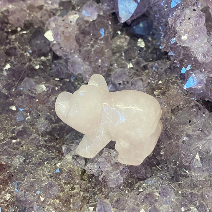 Rose Quartz Pig Carving — Cute Crystal Companion for Heart Energy