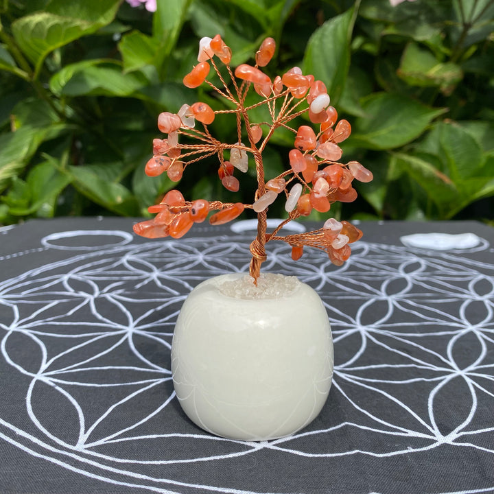 Carnelian Crystal Tree – Confidence &amp; Motivation