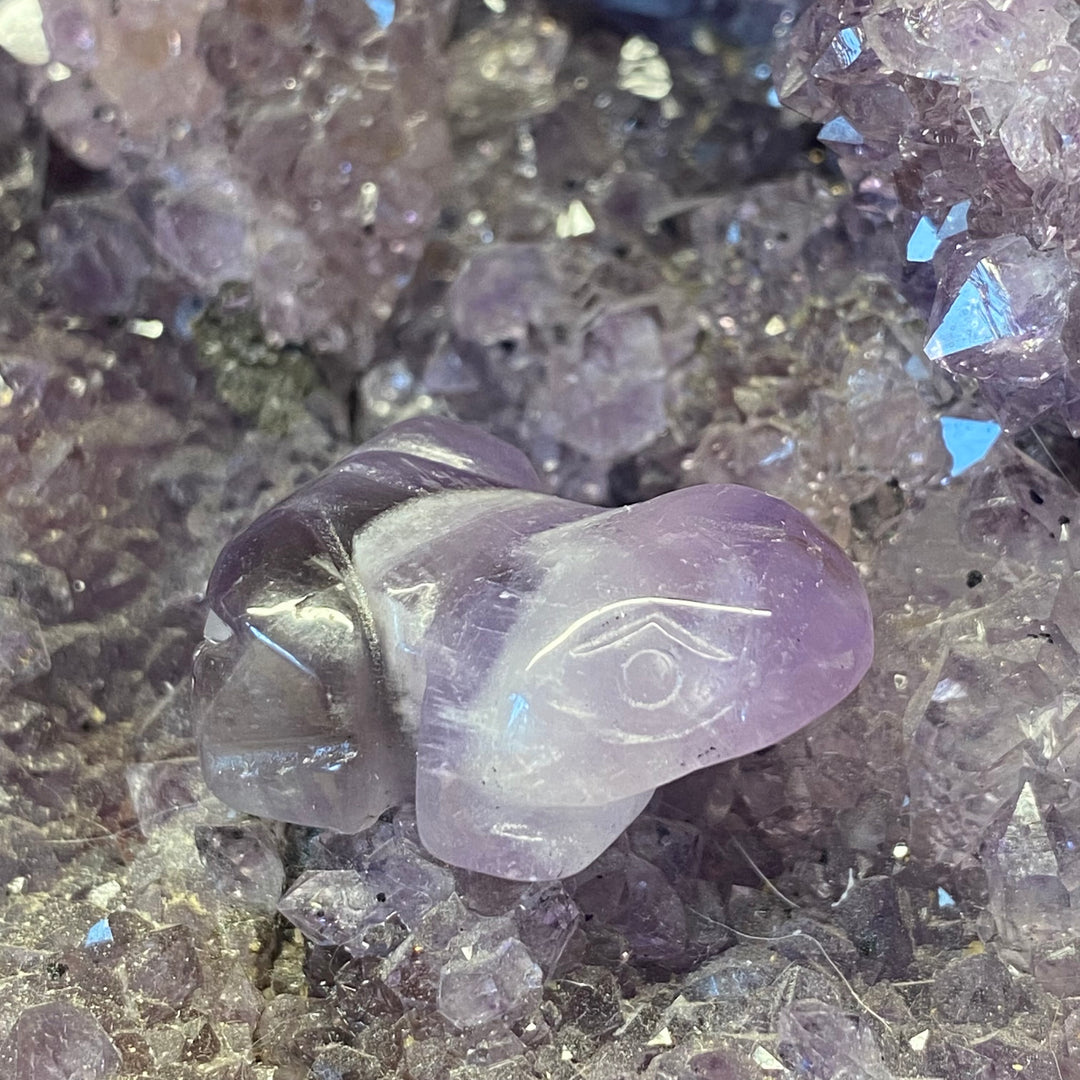 Amethyst Frog Carving — Dreamy Calm &amp; Gentle Spiritual Energy