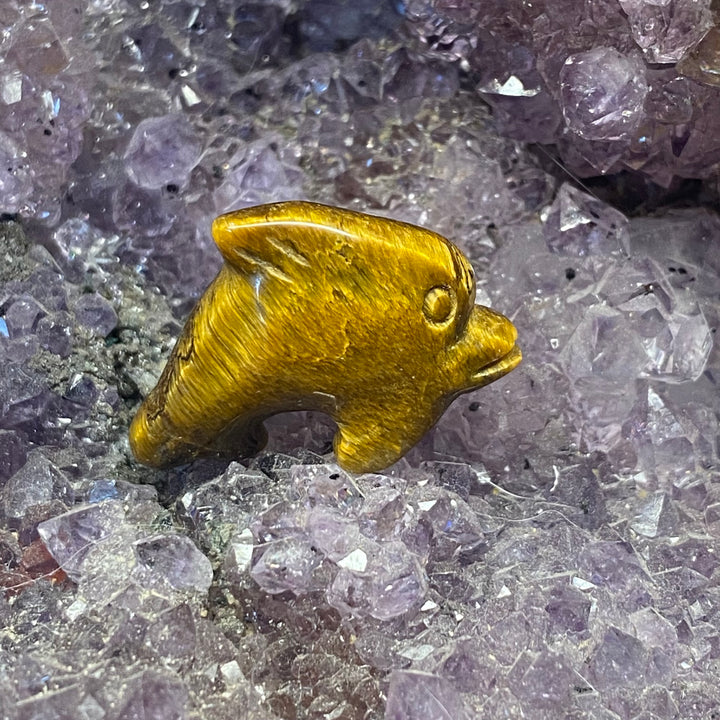 Tiger Eye Dolphin Carving — Warm Strength &amp; Gentle Ocean Energy