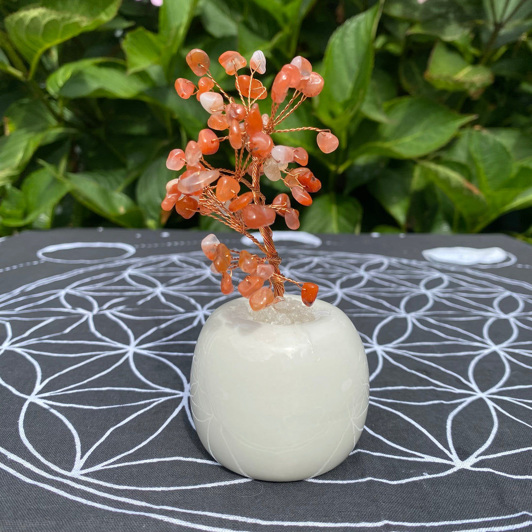 Carnelian Crystal Tree – Confidence &amp; Motivation