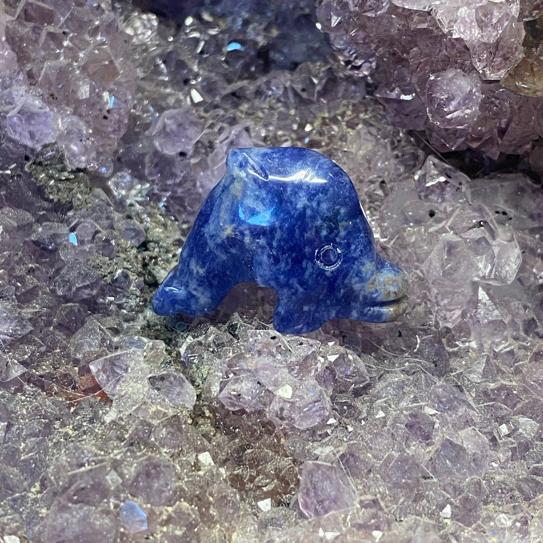 Sodalite Dolphin Carving — Calm Clarity &amp; Gentle Ocean Energy