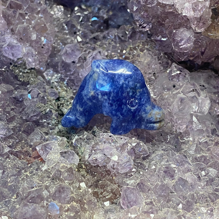 Sodalite Dolphin Carving — Calm Clarity &amp; Gentle Ocean Energy