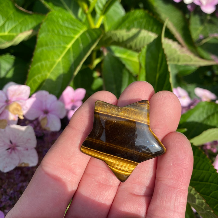 Tiger Eye Star Crystal Carving – Confidence &amp; Focus