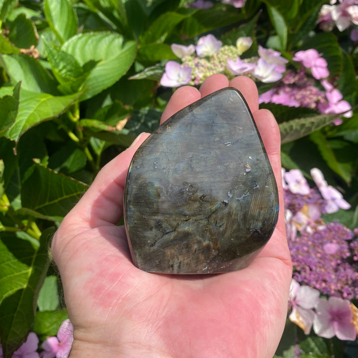A Grade Labradorite Polished Freeform 5 - Transformation