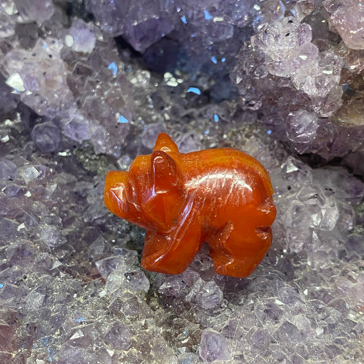 Carnelian Pig Carving — Warm Vitality &amp; Gentle Motivating Energy