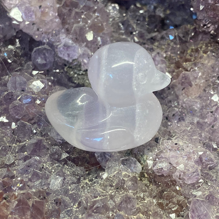 Rainbow Fluorite Duck Carving — Calm Clarity &amp; Gentle Colourful Energy