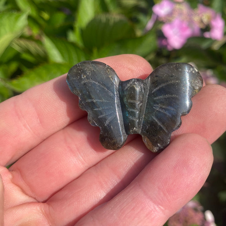 Labradorite Butterfly Carving — Blue Flash &amp; Quiet Magic