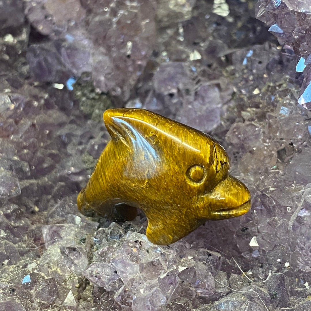 Tiger Eye Dolphin Carving — Warm Strength &amp; Gentle Ocean Energy