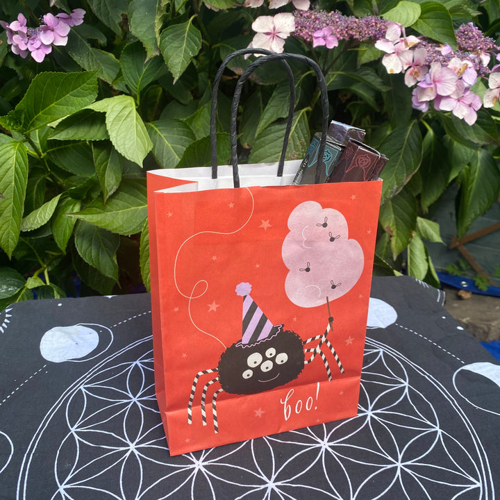 Spell Book Incense Gift Pack - Spellbound Scents