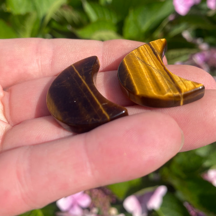 Tiger Eye Moon Carving — Warm Glow &amp; Grounded Lunar Energy