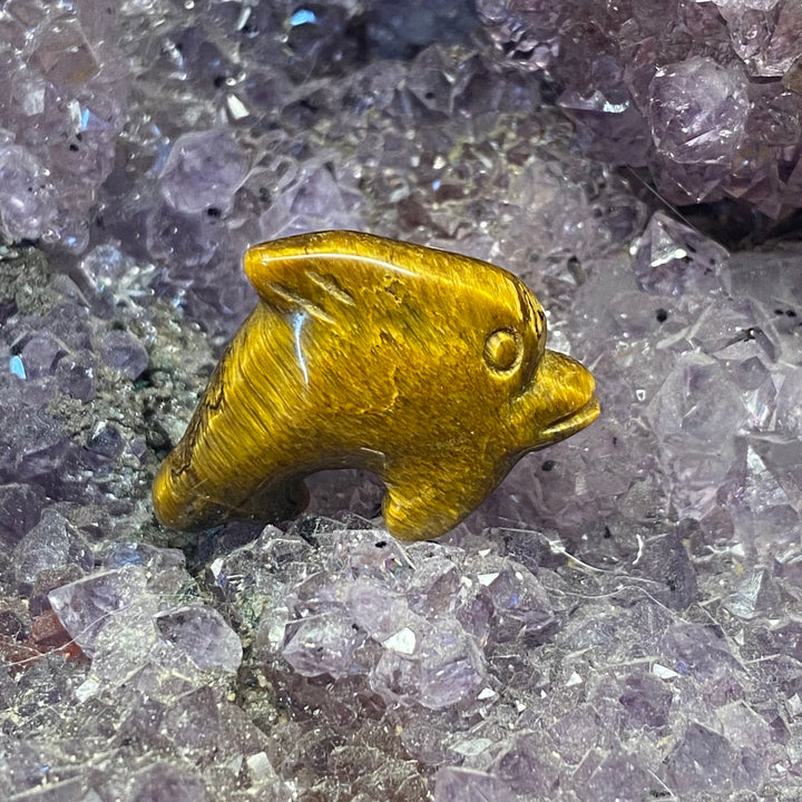 Tiger Eye Dolphin Carving — Warm Strength &amp; Gentle Ocean Energy