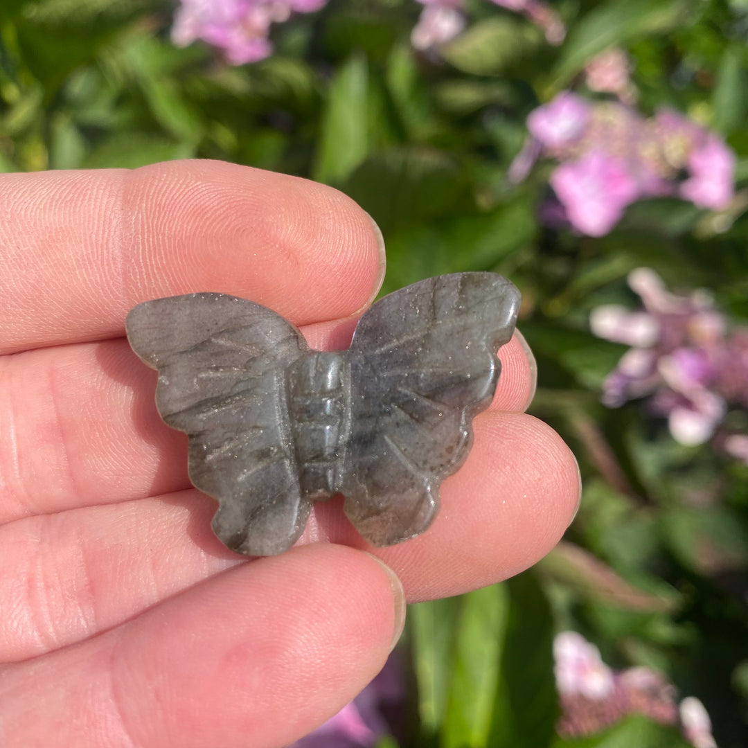 Labradorite Butterfly Carving — Soft Flash &amp; Gentle Transformation