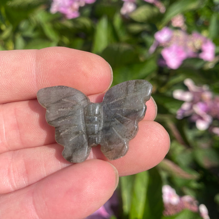 Labradorite Butterfly Carving — Soft Flash &amp; Gentle Transformation