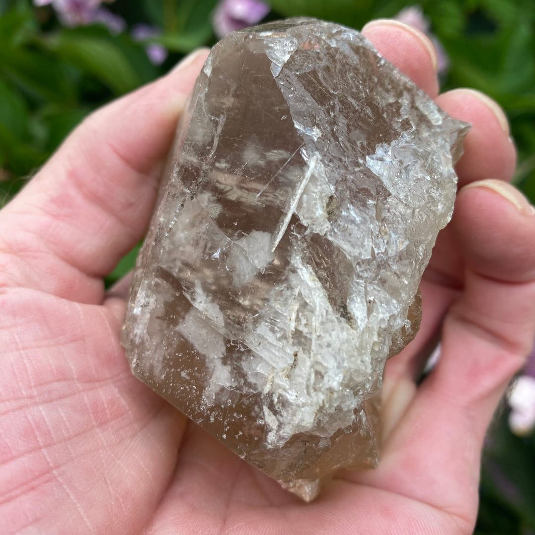 Raw Clear Quartz Crystal – Clarity &amp; Amplifying Energy