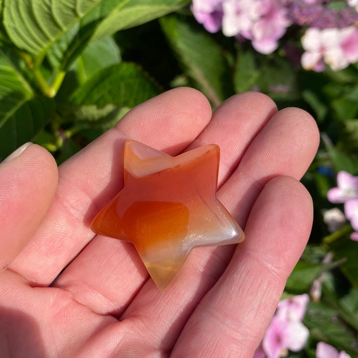 Carnelian Drilled Star Crystal Carving – Courage &amp; Motivation