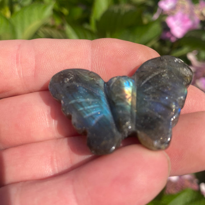 Labradorite Butterfly Carving — Blue Flash &amp; Quiet Magic