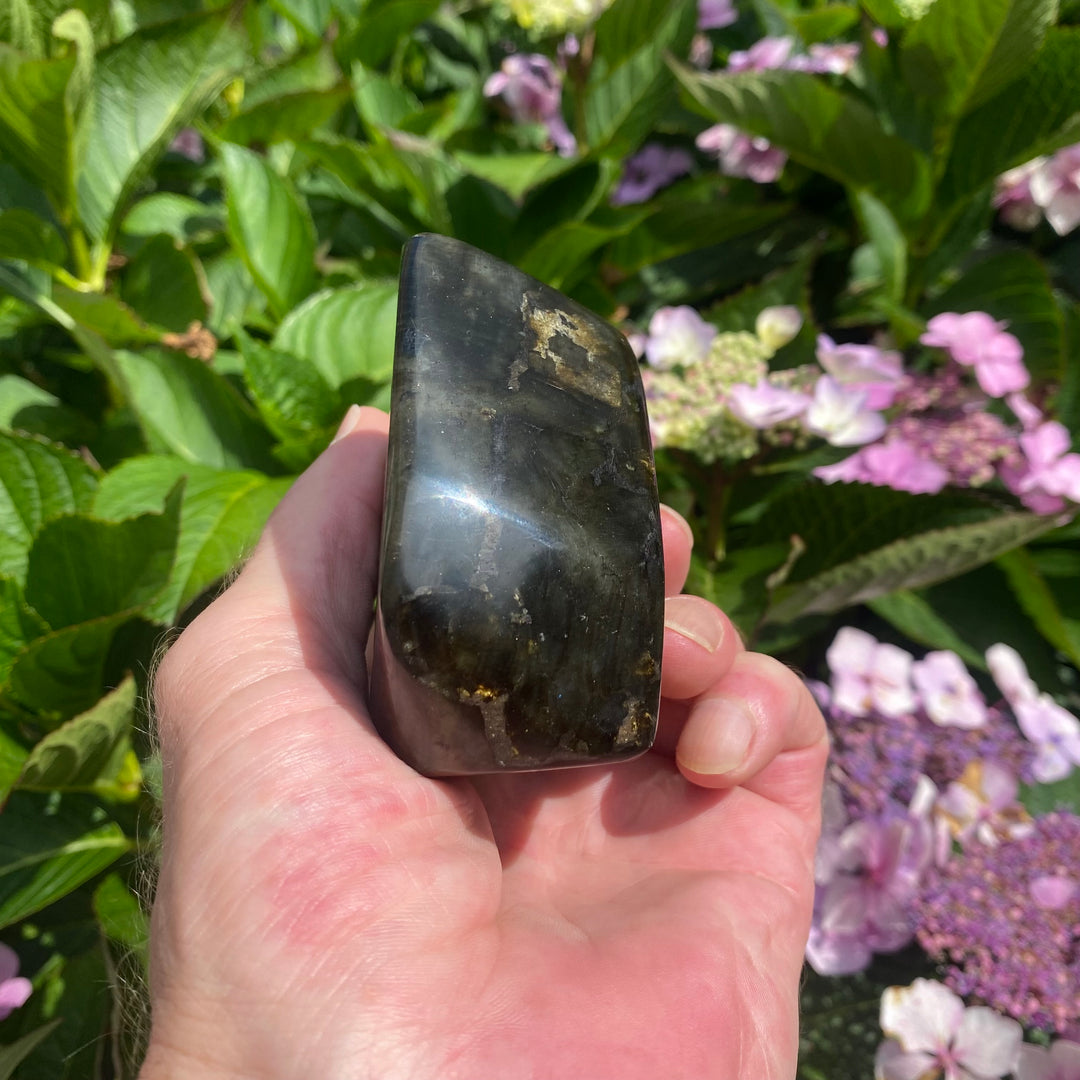 A Grade Labradorite Polished Freeform 5 - Transformation