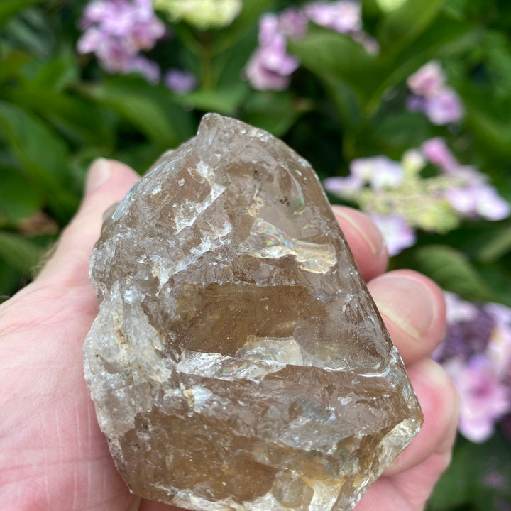 Raw Clear Quartz Crystal – Clarity &amp; Amplifying Energy