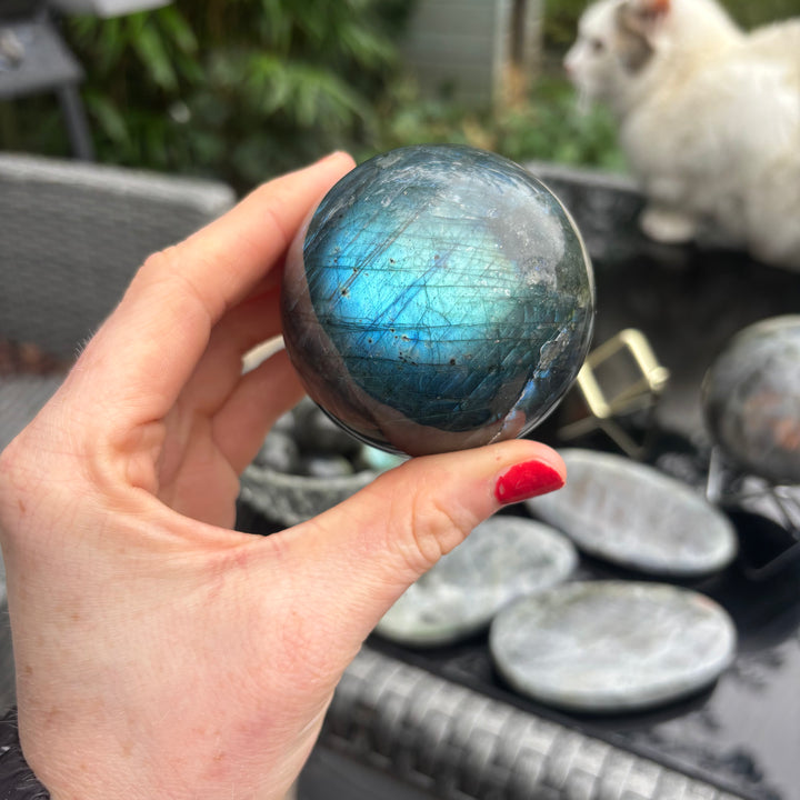 Hand holding a Labradorite crystal ball with a cat in the background