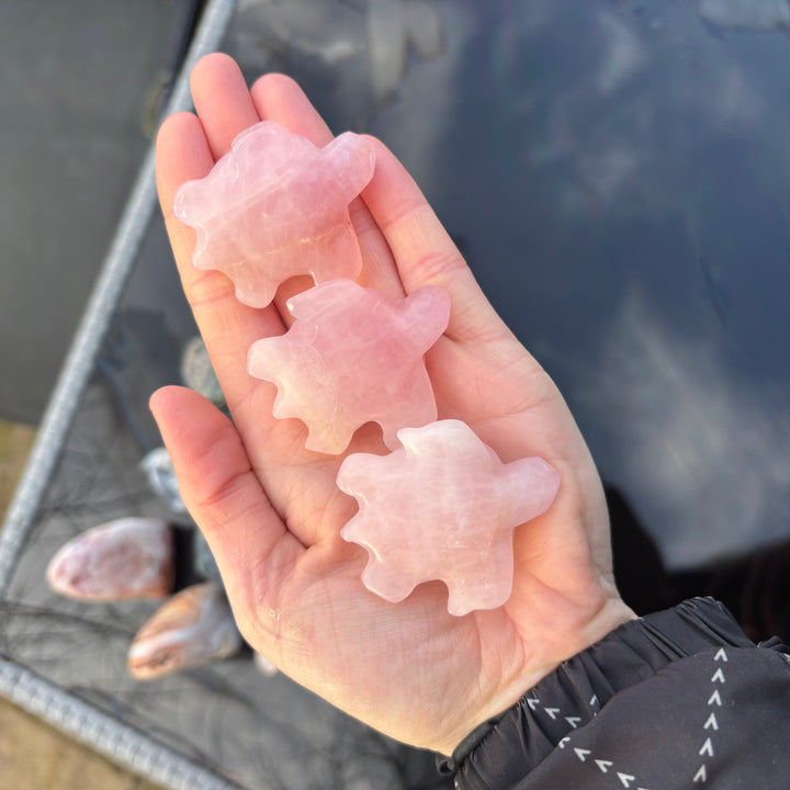 Three pink rose quartz crystal turtle charms held in a person&