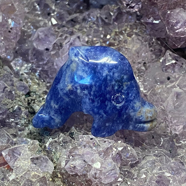 A polished blue Sodalite Dolphin Carving resting on a bed of translucent purple and gray crystal clusters.