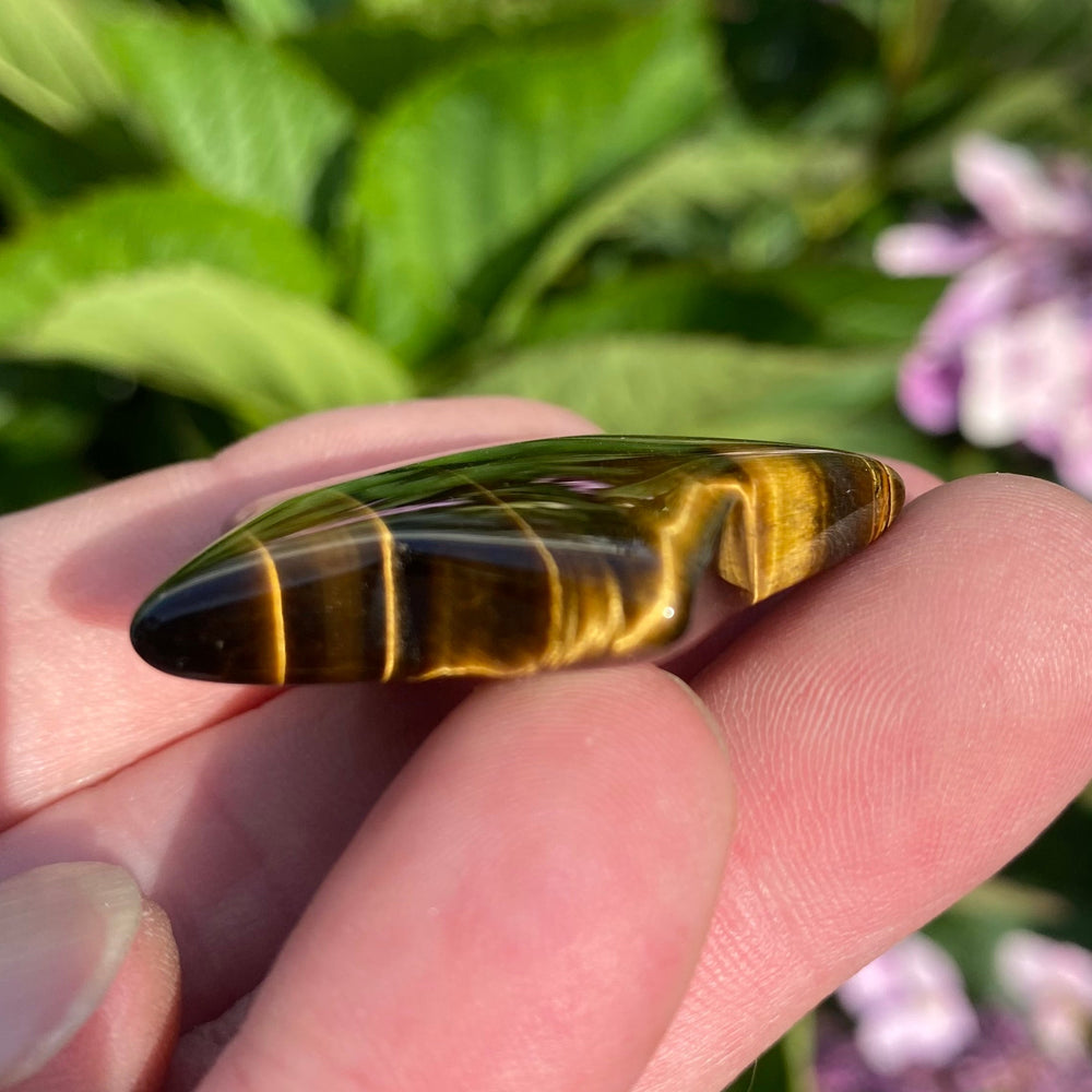 A polished tiger's eye stone held between fingers outdoors, showing greenish-yellow and dark brown banded bands with a glossy reflective finish against a blurred background of green leaves and purple flowers.