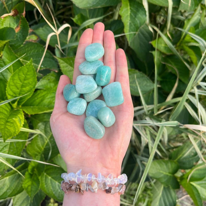 Amazonite Tumbles | Courage &amp; Truth
