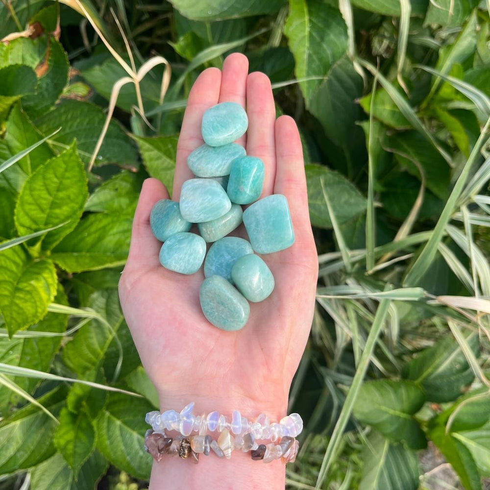 A hand holding a cluster of polished light blue-green Amazonite Tumbles, photographed outdoors against a background of green leaves and grass.