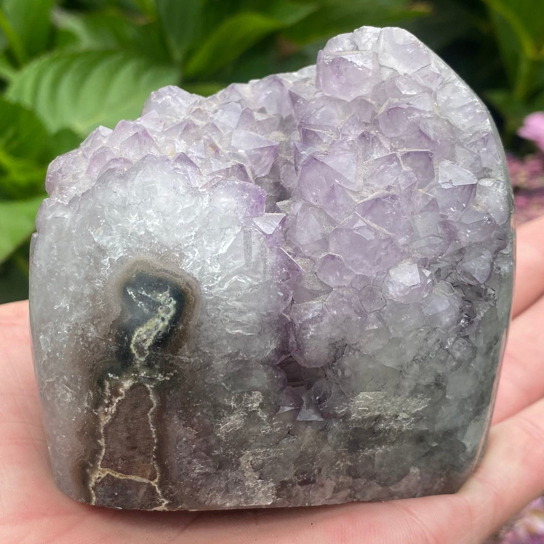 A hand holding a polished purple amethyst crystal cluster with natural dark inclusions, set against a background of green leaves and purple flowers.