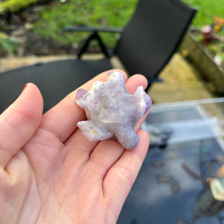 Hand holding a purple crystal Amethyst Turtle Crystal Carving with a blurred outdoor background
