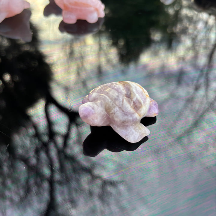 Small stone sculpture of a Amethyst Turtle Crystal Carving on a reflective surface with blurred background