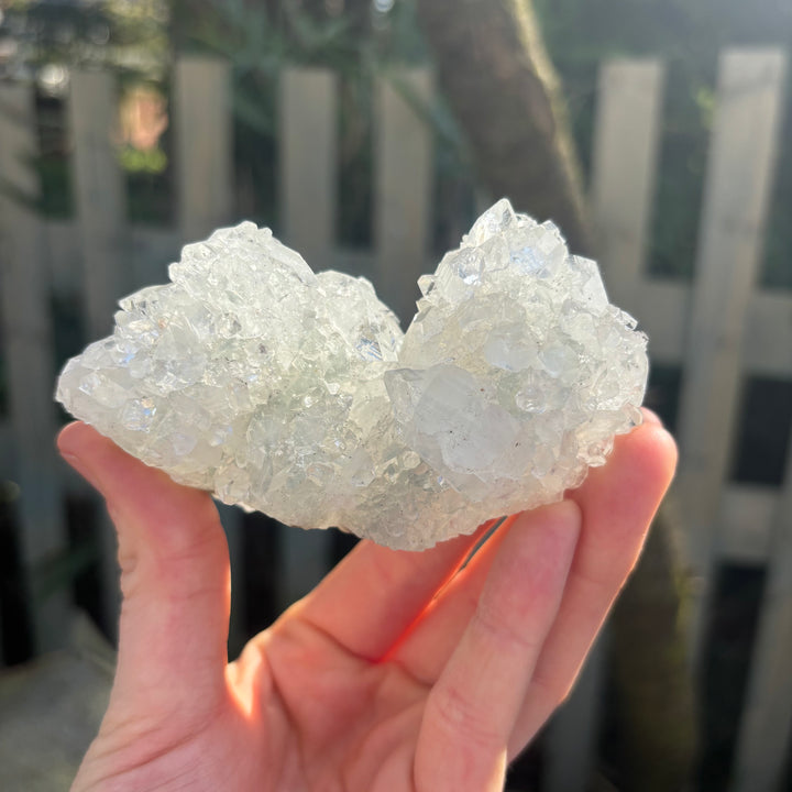 Apophyllite Crystal Cluster