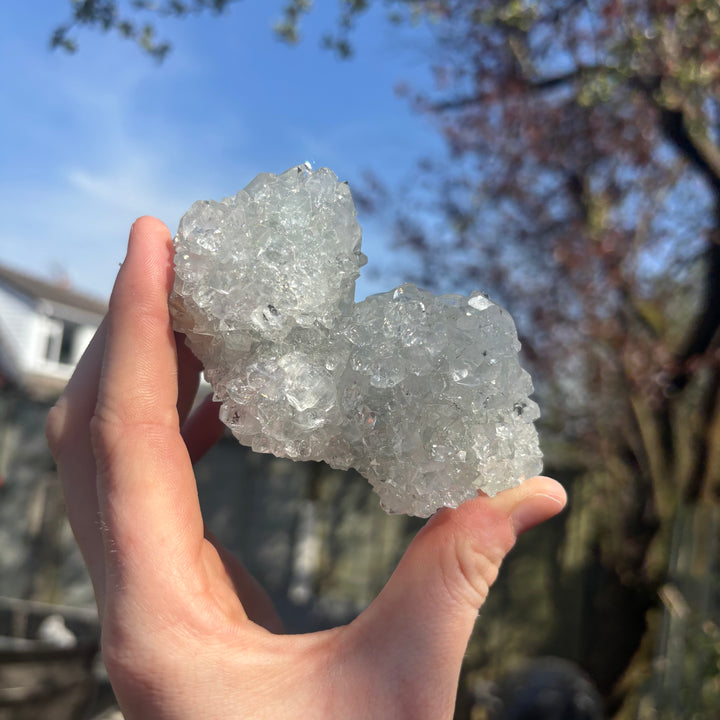 Apophyllite Crystal Cluster